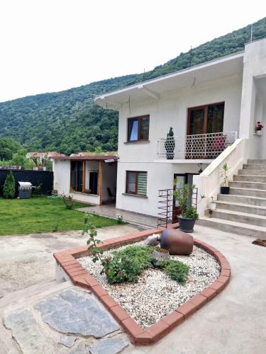 Baile Herculane House | Renate House