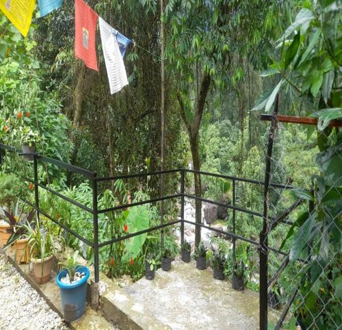 Kumai House | Rongo Yalakhom Riverside Homestay