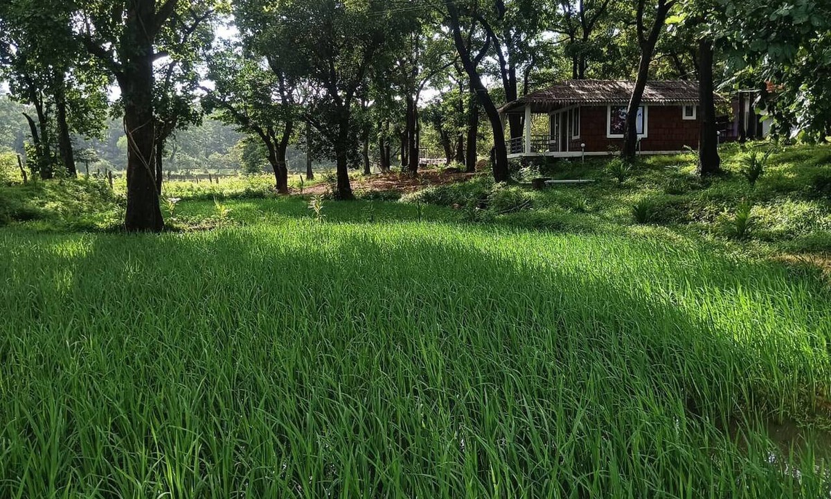 Timbholi House | Room-cottage In Farm House Dandeli