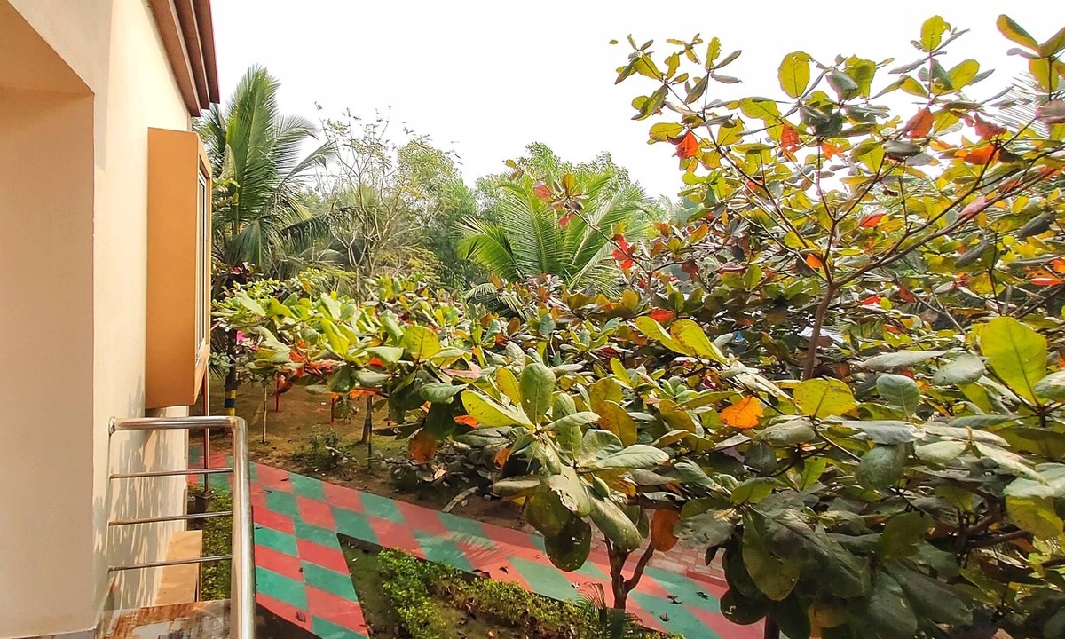 Garoi House | Room in Farmhouse - Janardan Kings Coco Palms Resort Konark