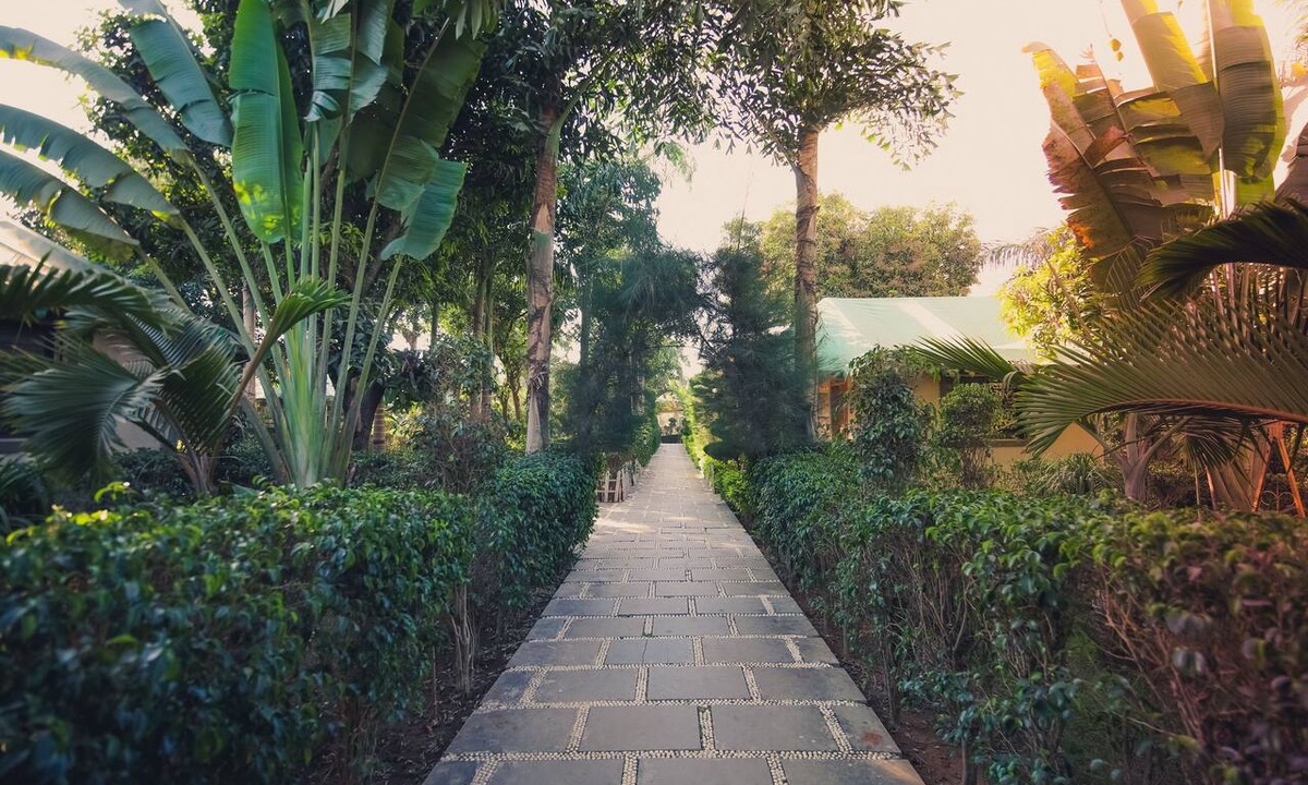 Talala Hotel | Saavaj Resort - Sasan Gir