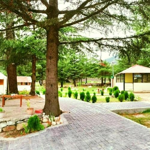 Harsil Resort | Sahiba Retreat