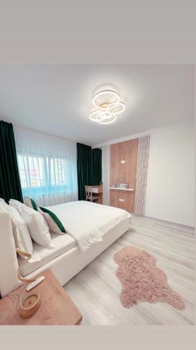 Piatra Neamt Apartment | Scandinavia Apartment 1
