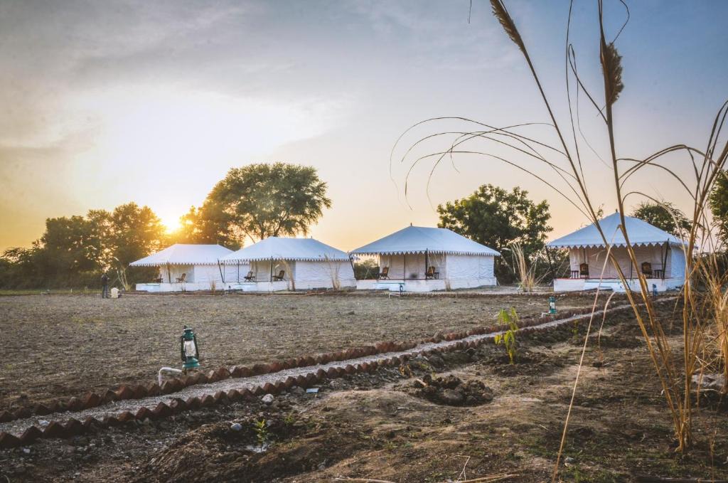 Bali Hotel | Sena Safari Camp