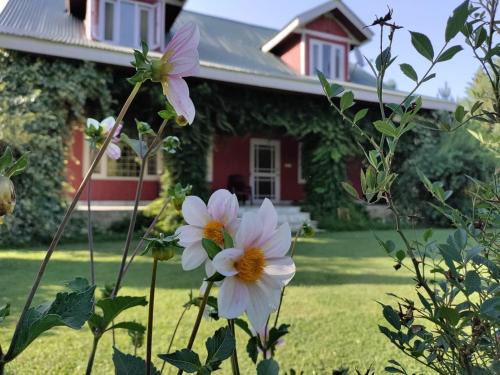 Gulmarg Villa | Serenade