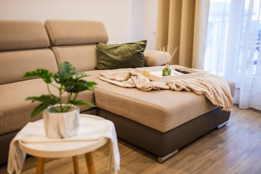 Stefanestii de Jos Apartment | Seyra Olive Studio