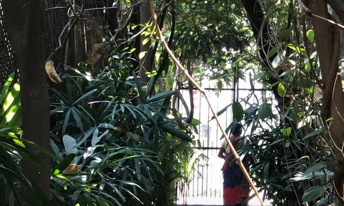 Bodh Gaya Hostel | Shantidevi ashram s guesthouse