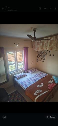 Stuart Hill House | Shaun's misty homestay
