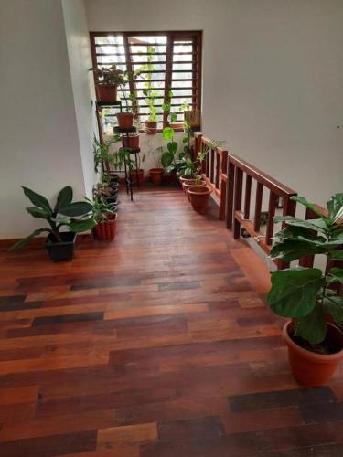 Kannur House | Shruthi's Aarohi-Nature's Retreat Homestay