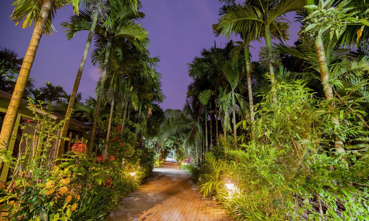 Chaul Hotel | Silvanus Forest Retreat