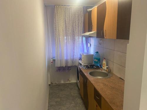 Drobeta-Turnu Severin Apartment | Sofia Apartament