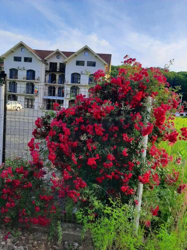 Sinmartin House | Sofial Guesthouse