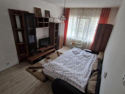 Floresti Apartment | Stejarului App