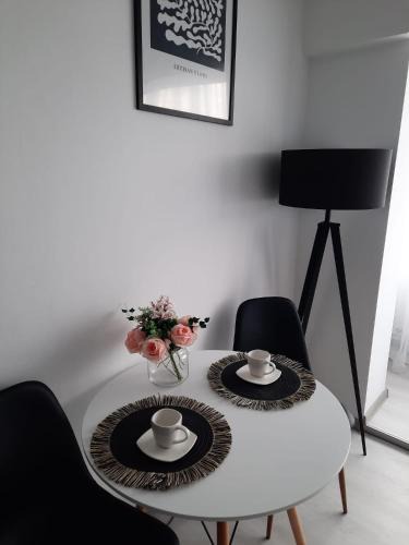 Fagaras Apartment | Studio ANA