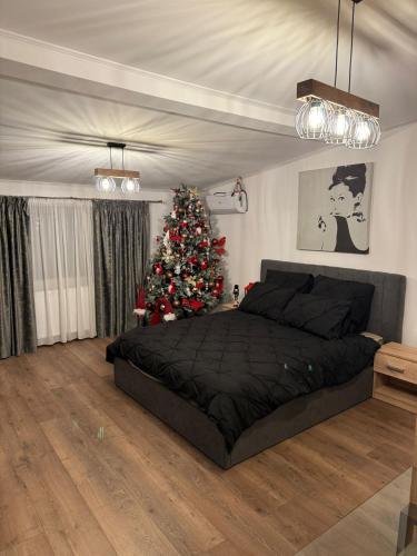 Craiova Apartment | Studio modern,ideal pentru 2 cupluri sau o familie cu 2 copii