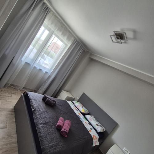 Constanta Apartment | Studio Palaz