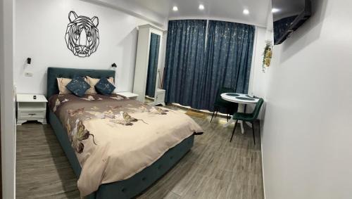 Dorohoi Apartment | Studio