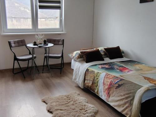 Piatra Neamt Apartment | Studio roberto