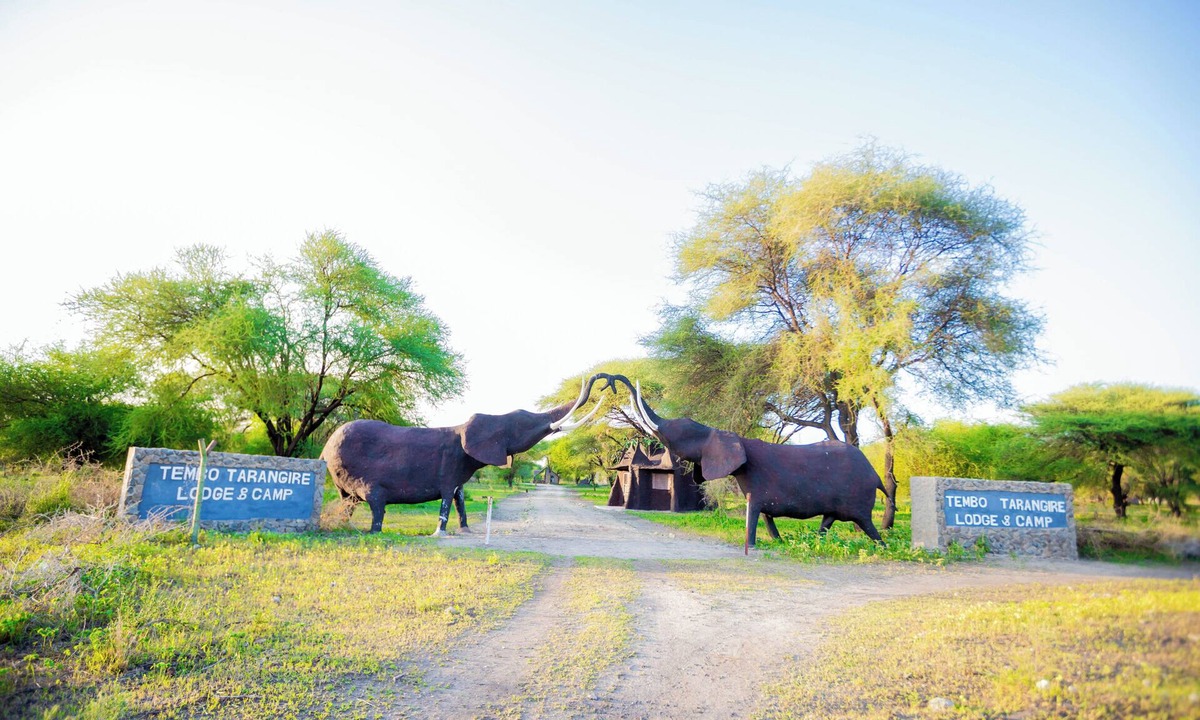 Tarangire National Park Cabin | Stunning 10-bedroom lodge, ideally situated outside Tarangire National Park.