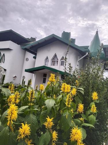 Mussoorie Villa | Stunning 3BHK Villa, Mussoorie