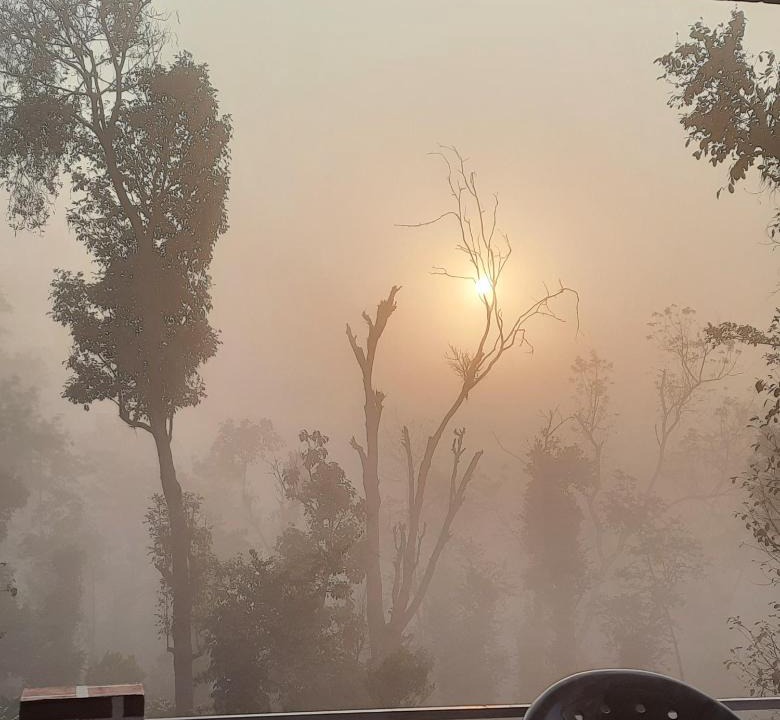 Kutta House | Sunrise Homestay, Nagarahole