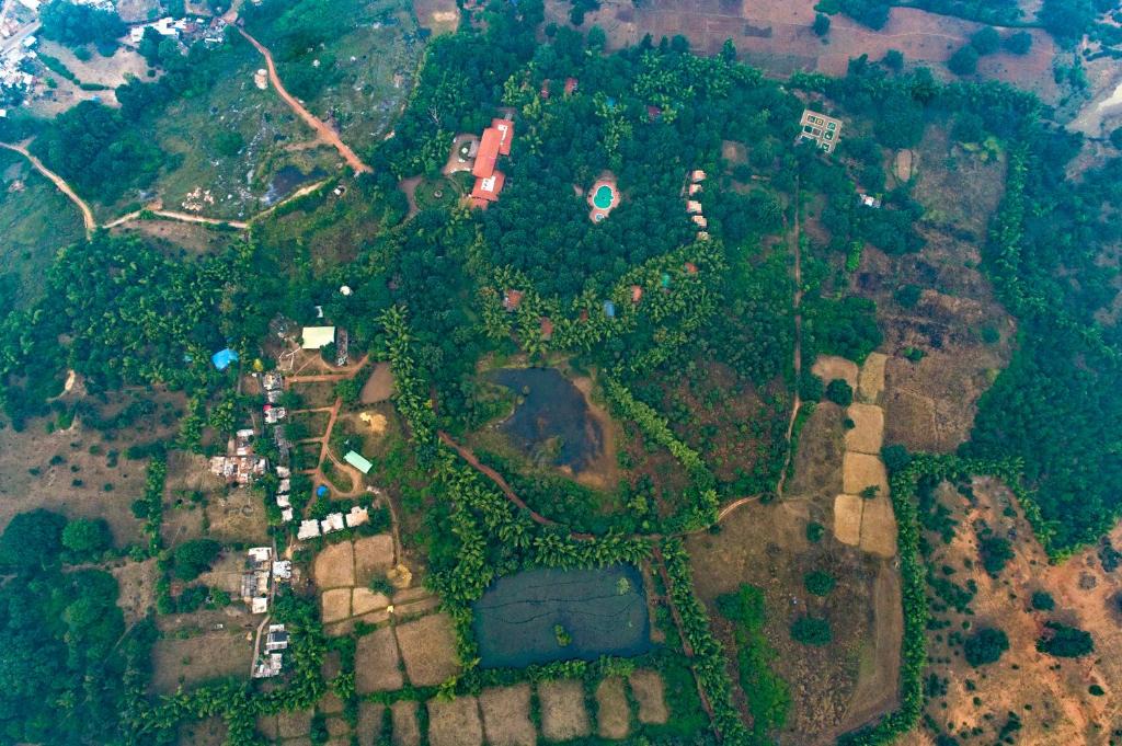 Tala Resort | Syna Tiger Resort Bandhavgarh