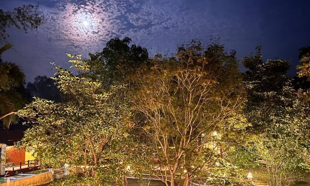 Khatia Resort | Taal Tiger Resort