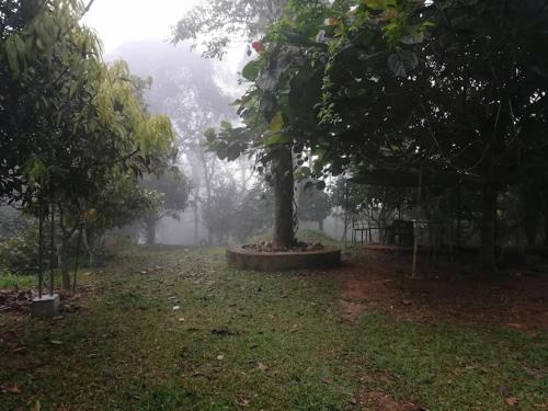 Sulthan Bathery Resort | Tapovan Fruitopia