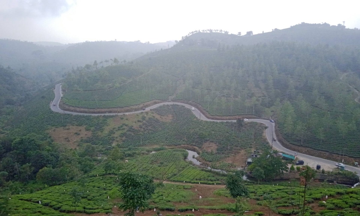 Vagamon Cottage | Tea Haven Homestay