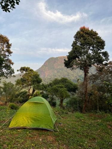 Khattalwada Other | Tent Stay Paithalvillage