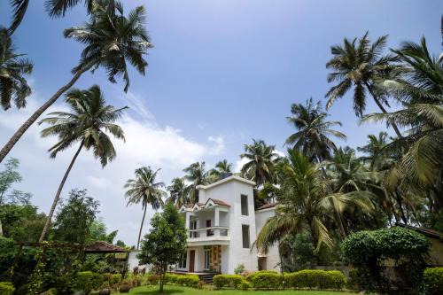 Arpora Villa | The Bira by Hottley - 3BHK Shared Pool Villa