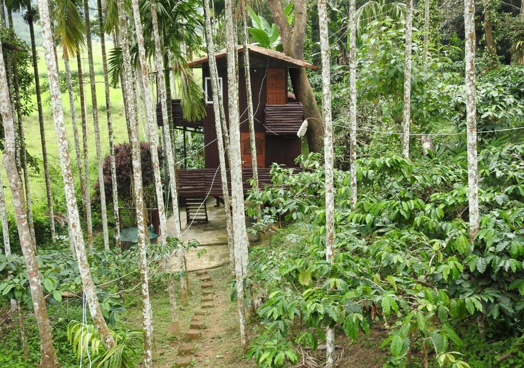 Virarajendrapet House | The Bliss Coorg