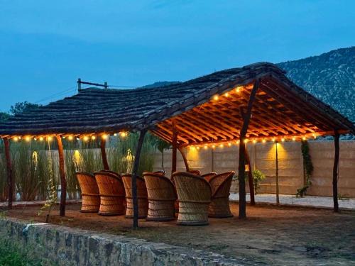 Sariska House | The Cub Sariska