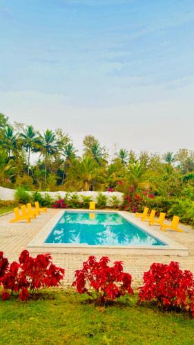 Agara Other | The Fairy Tale Farms
