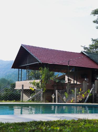 Tholpetty Cabin | The Rain Tree resort