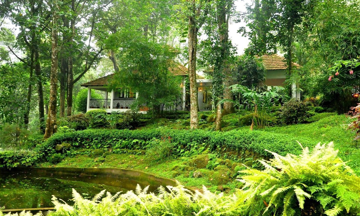 Munnar Hotel | The Tall Trees Munnar