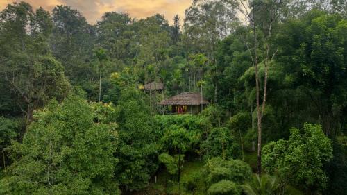 Kidanganad Resort | The Woods Resorts Wayanad
