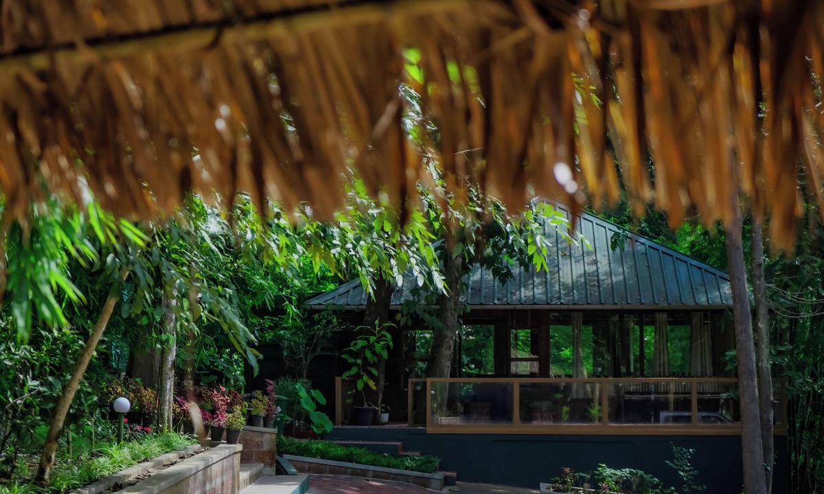 Kattikkulam Hotel | Thennal Jungle Camp Pvt Ltd