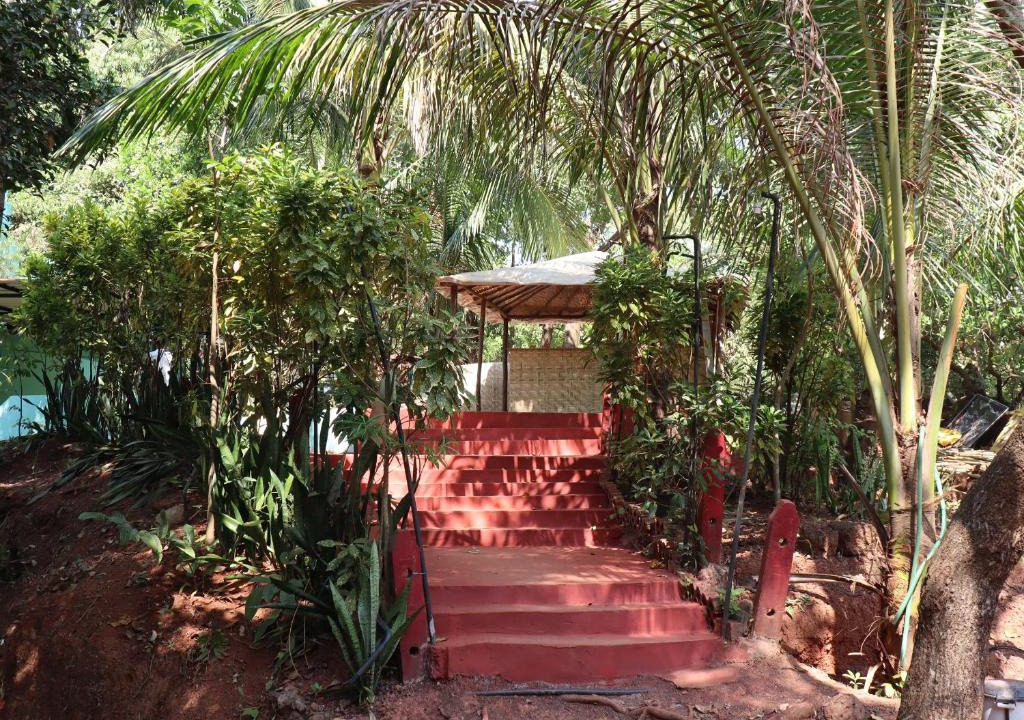Arambol Hostel | This Is It Jungle Maze Hostel