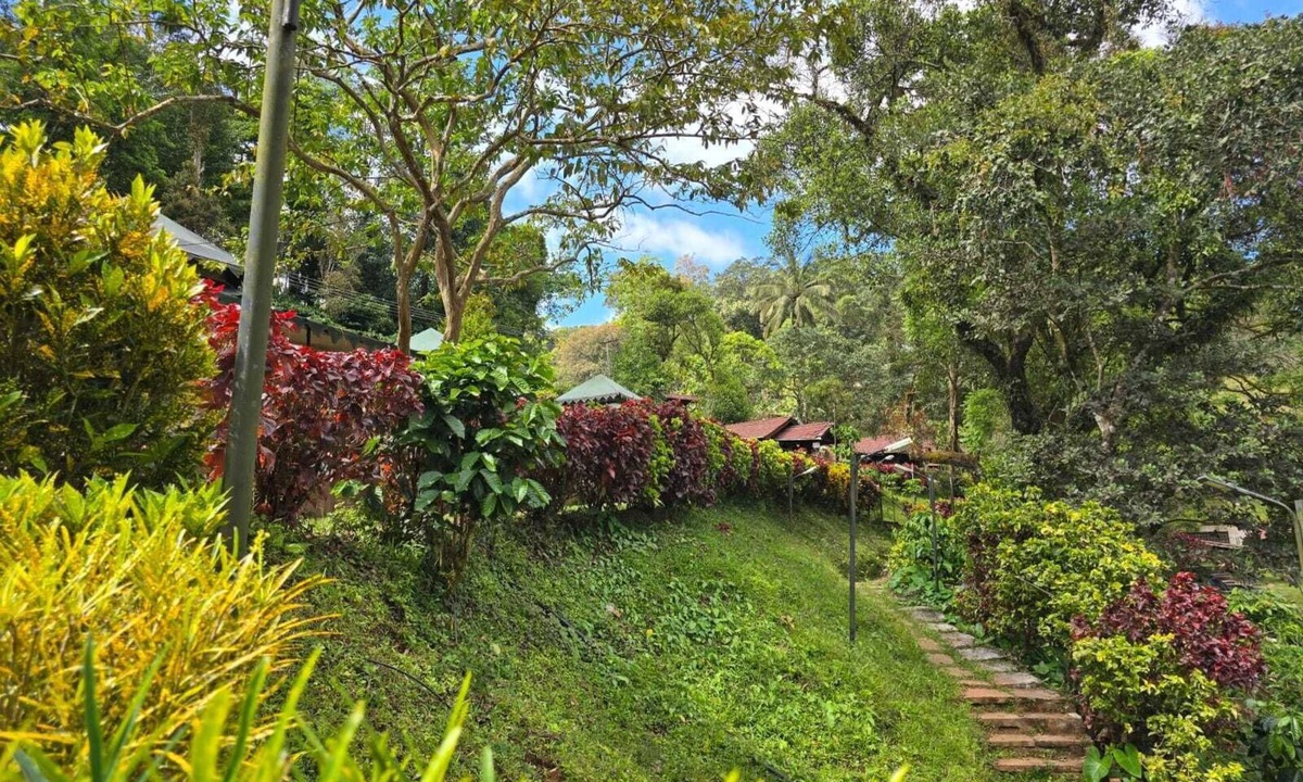 Madikeri Hotel | Three Hills Resort & Spa, Coorg