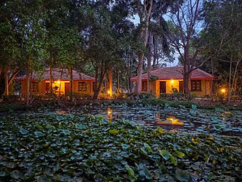 Tala Resort | Tiger Trails Resort