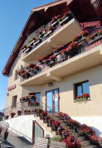 Sinmartin House | TOMIS Pensiune