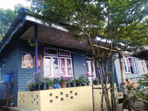 Aritar House | Tragopan Homestay