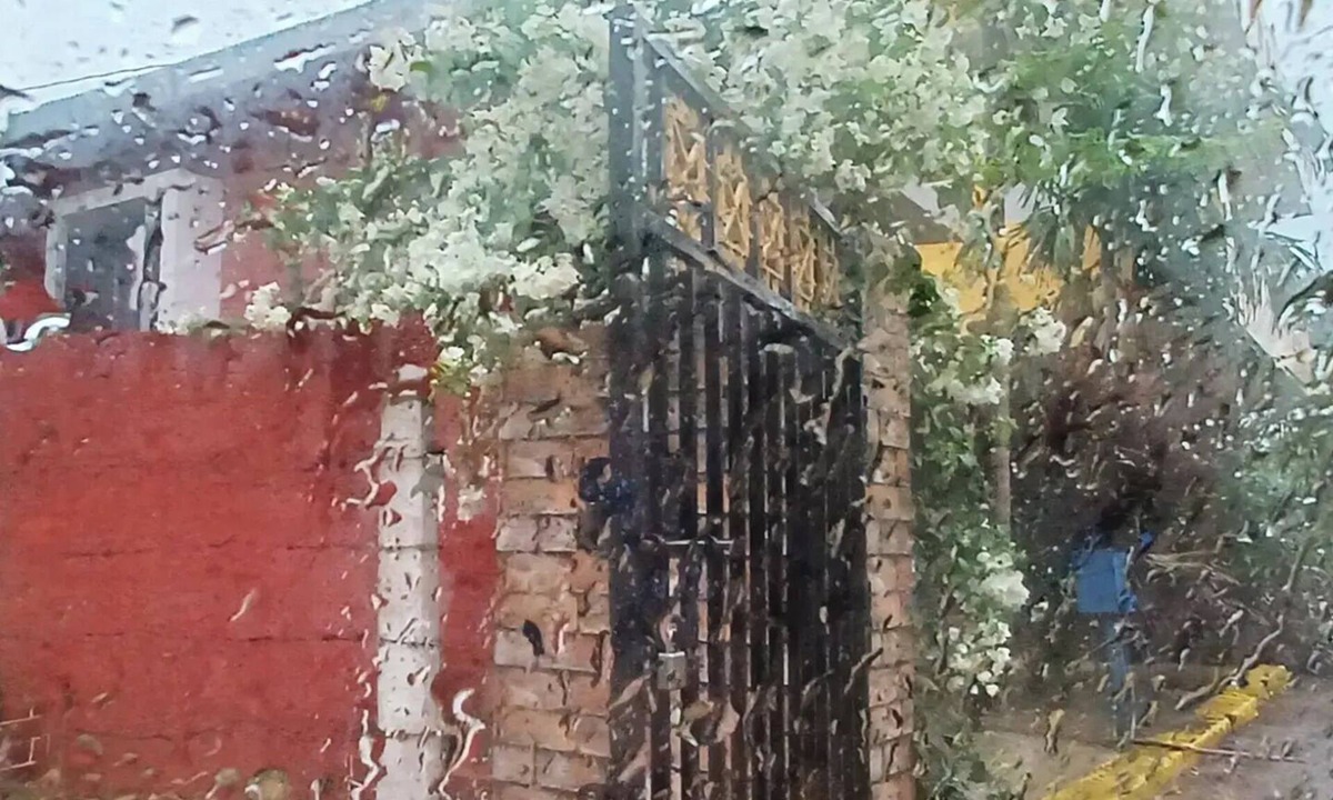 Puri House | Tranquil AC Farmhouse with modern amenities in charming Puri with Activities.