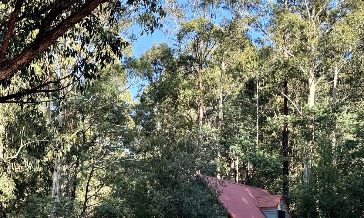 Icy Creek Cabin | Tranquil getaway amidst nature in Icy Creek, near Toorongo Falls & Mt Baw Baw.