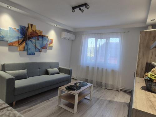 Bistrita Apartment | TRB Apartment