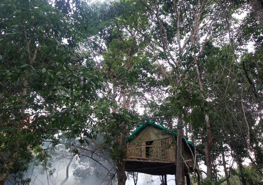 Kodaikanal House | Tree top bamboo cottage kodai