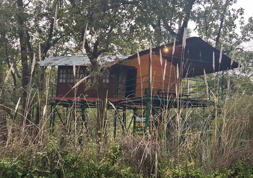 Baihar Other | Treehouse at Kamp