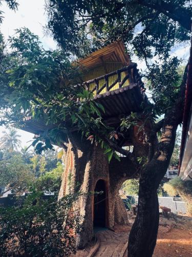 Kakkanad House | Treehouse Retreat - Kochi