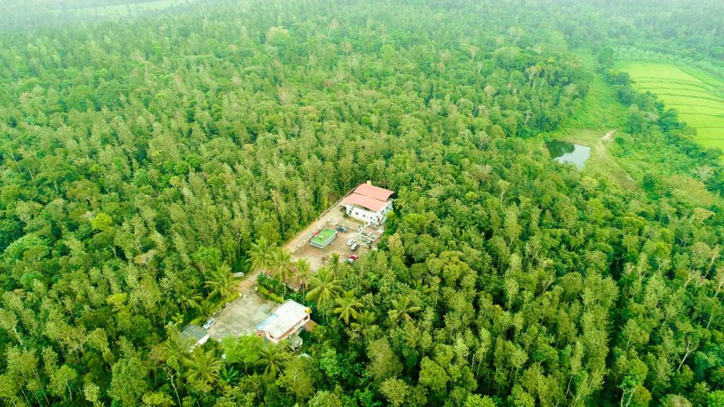 Belur House | Triwoods Plantation Farm Stay